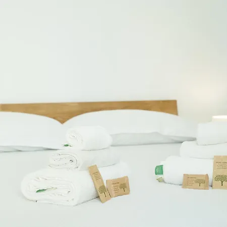 Daire Mascari - Aqua